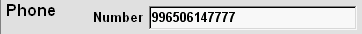 phone.gif (1946 bytes)